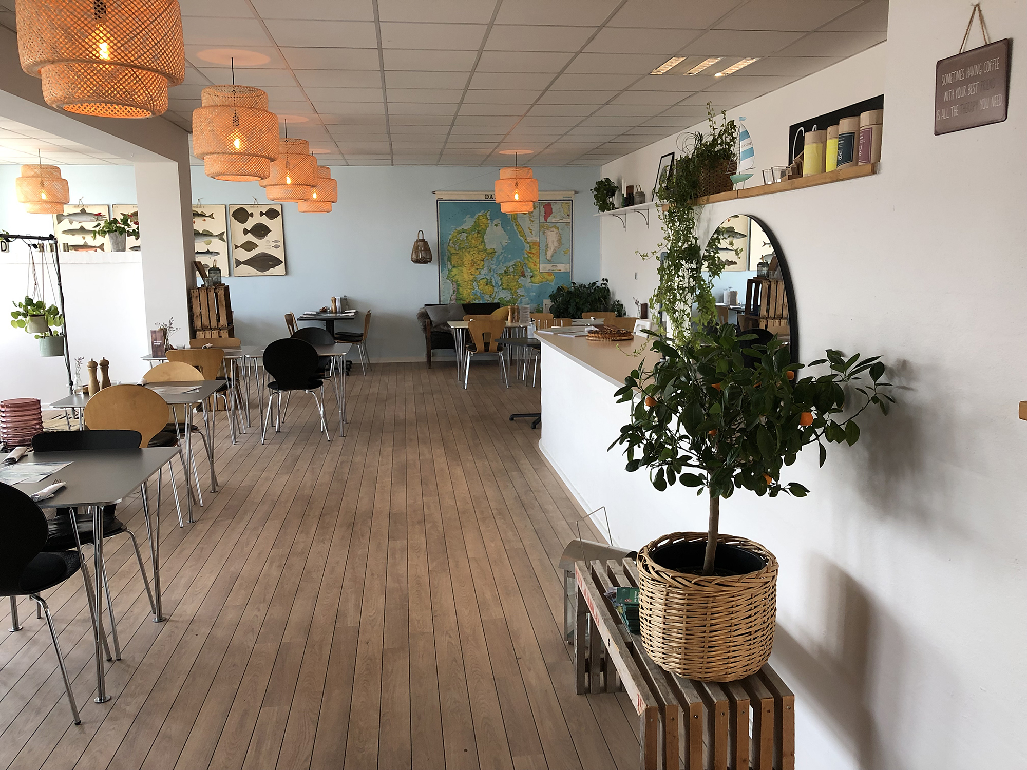 Cafe Seaside 4129 Web