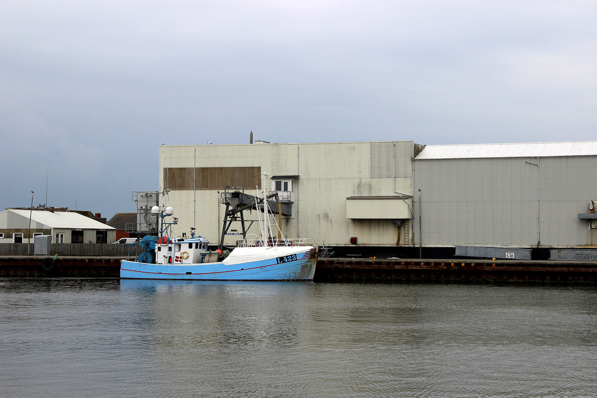 ICE 5199 Adjusted Web