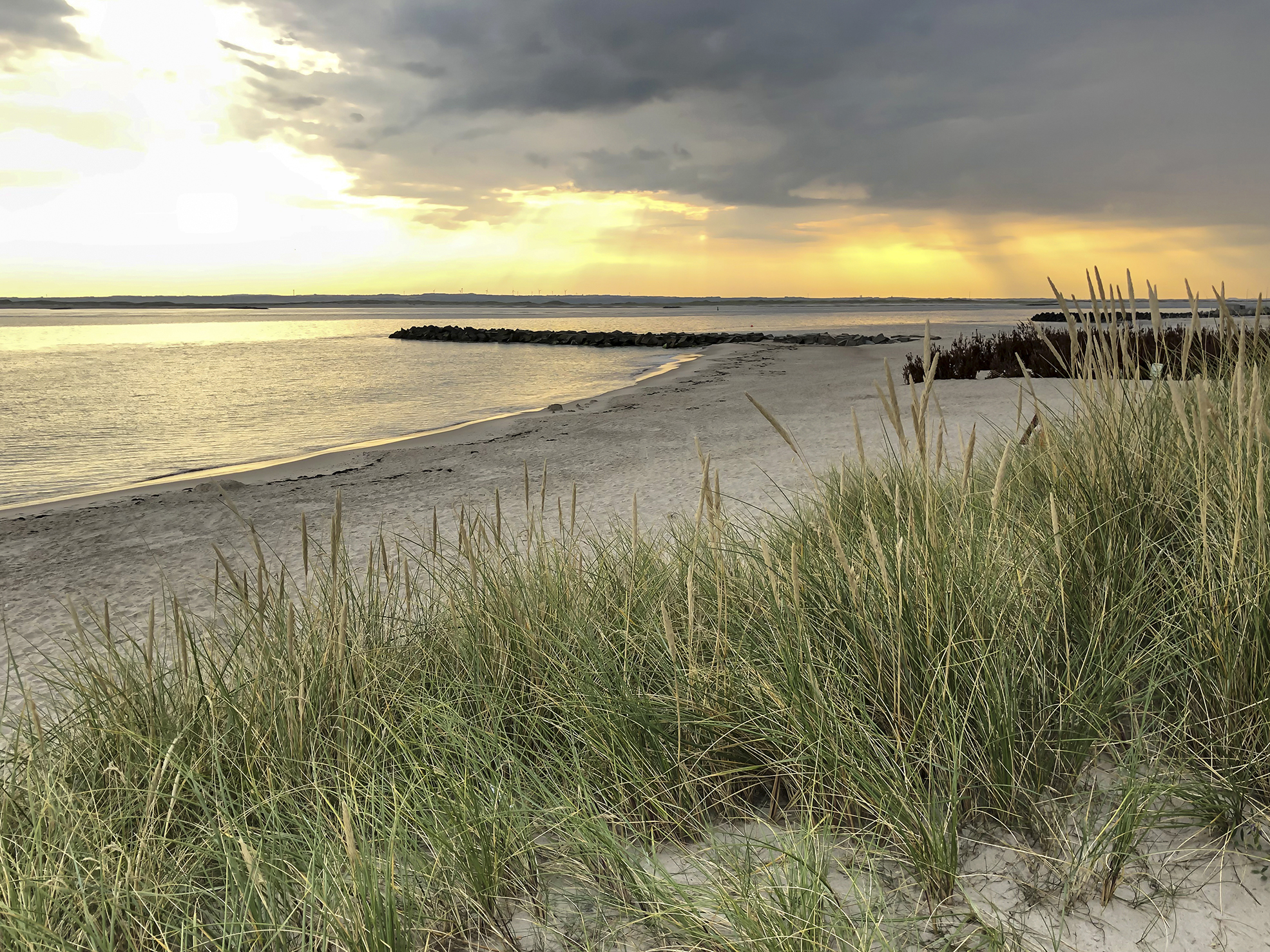 Thyboron Channel 2471 Web