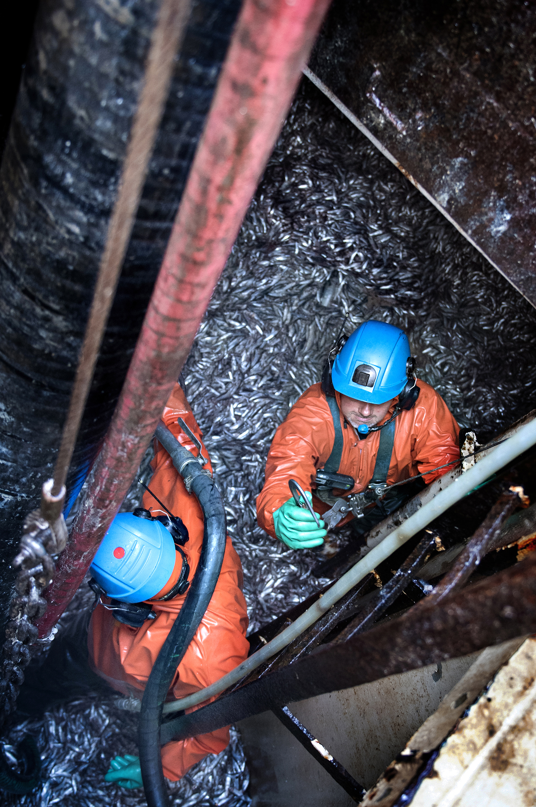 Triplenine_Discharging_Web