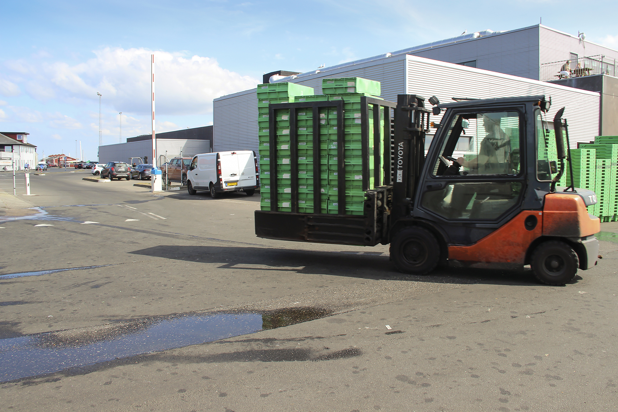 Kassevaskehal 6354 Web