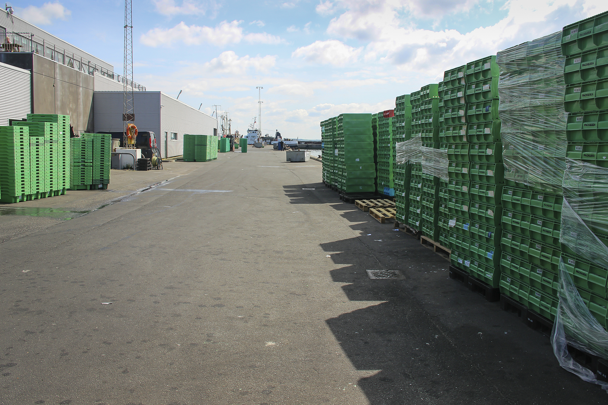 Kassevaskehal 6359 Web