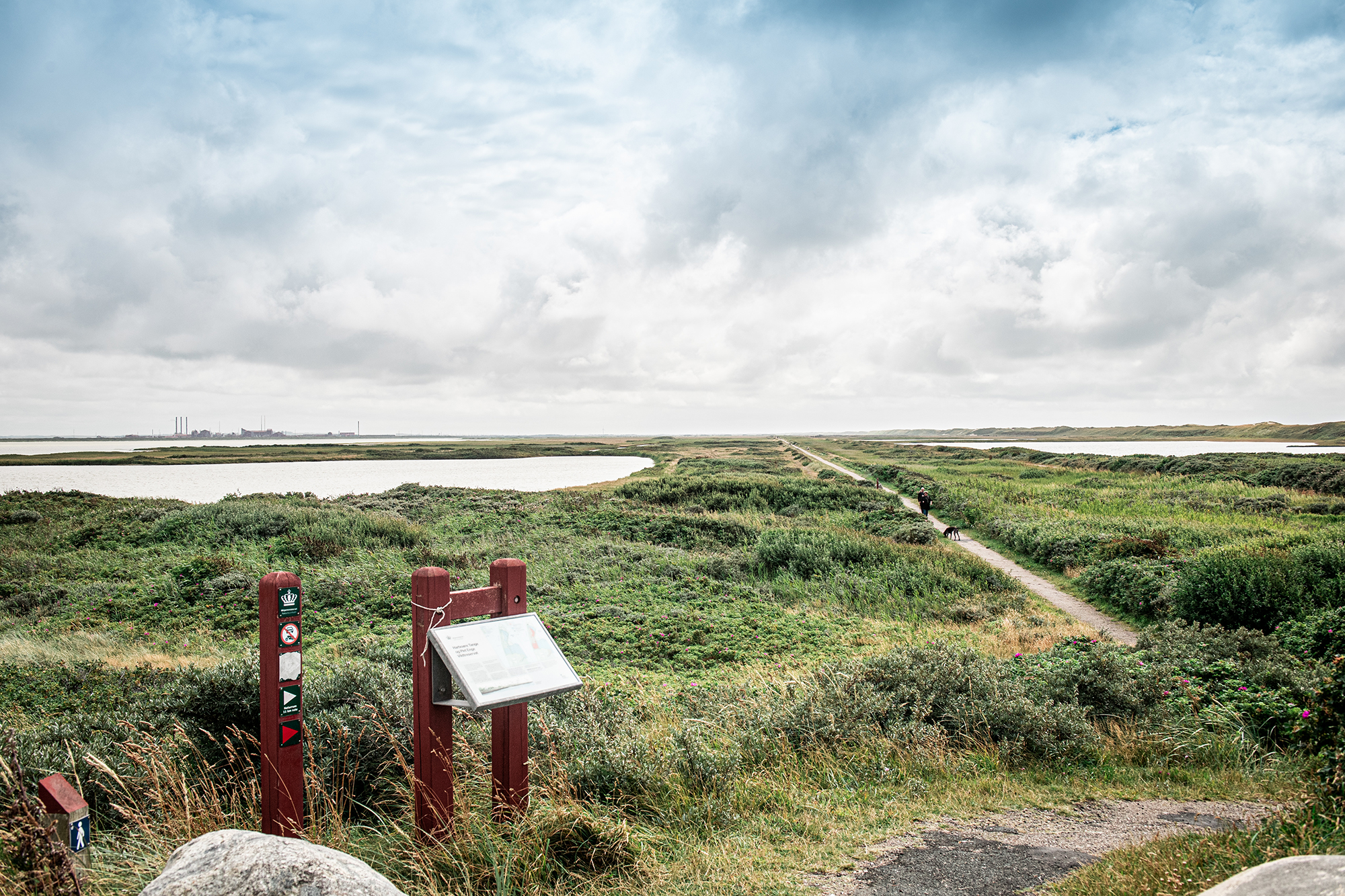 Thyborroncamping Harboore Tange Natur Web