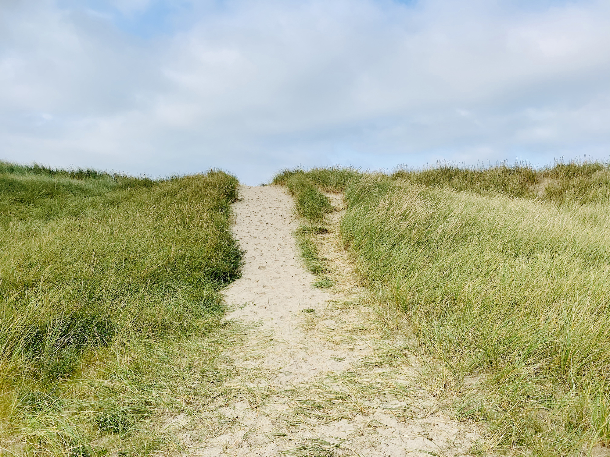 Thyborroncamping Klitter Web