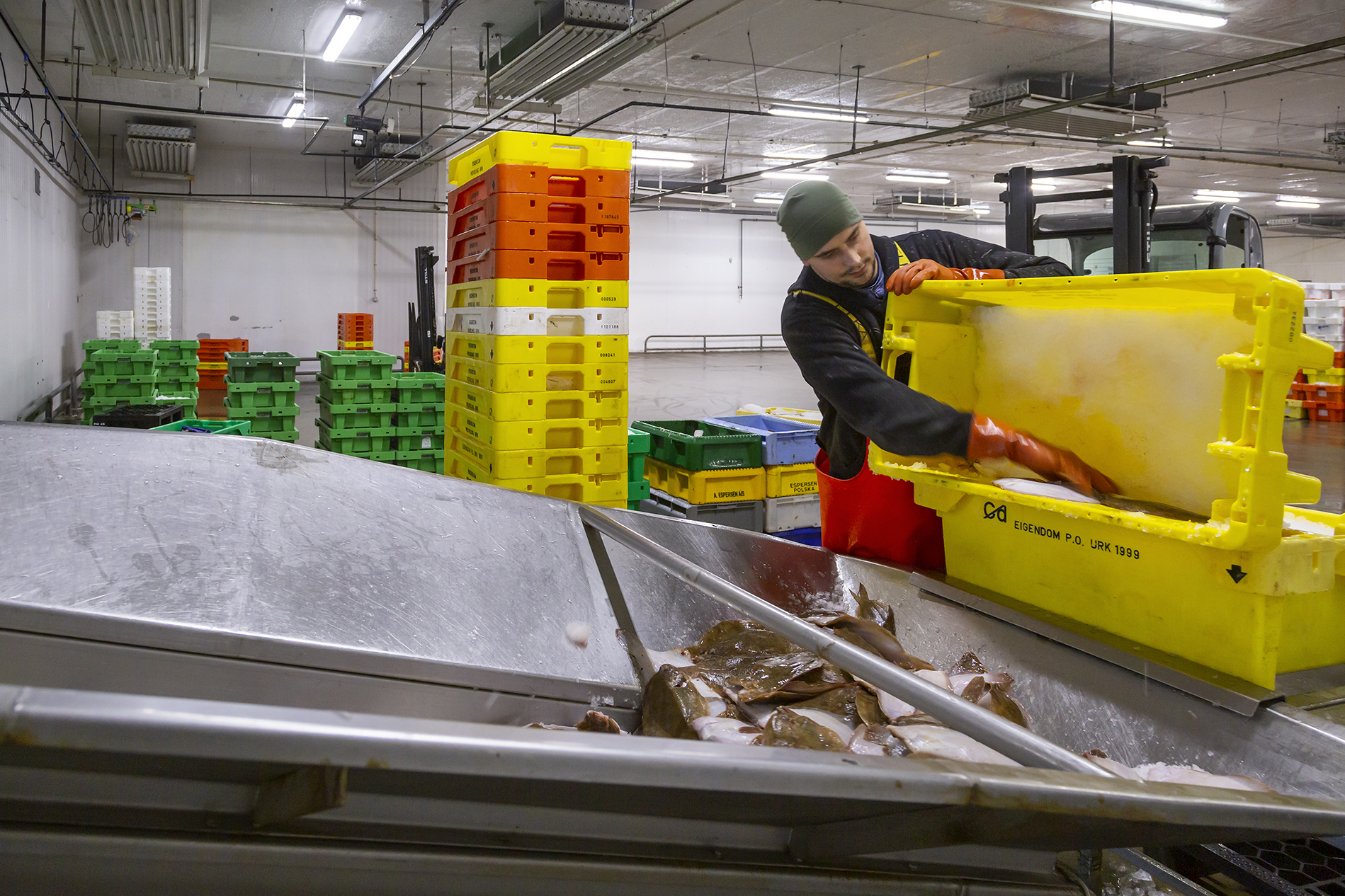 Fiskeauktion 15A3874 Web